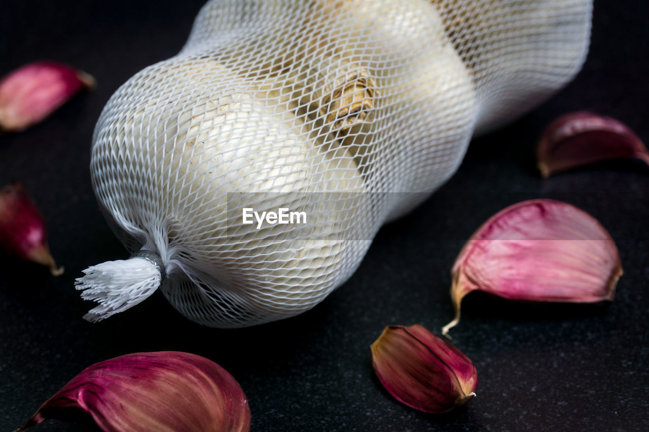 HIGH ANGLE VIEW OF SHELLS IN PLATE