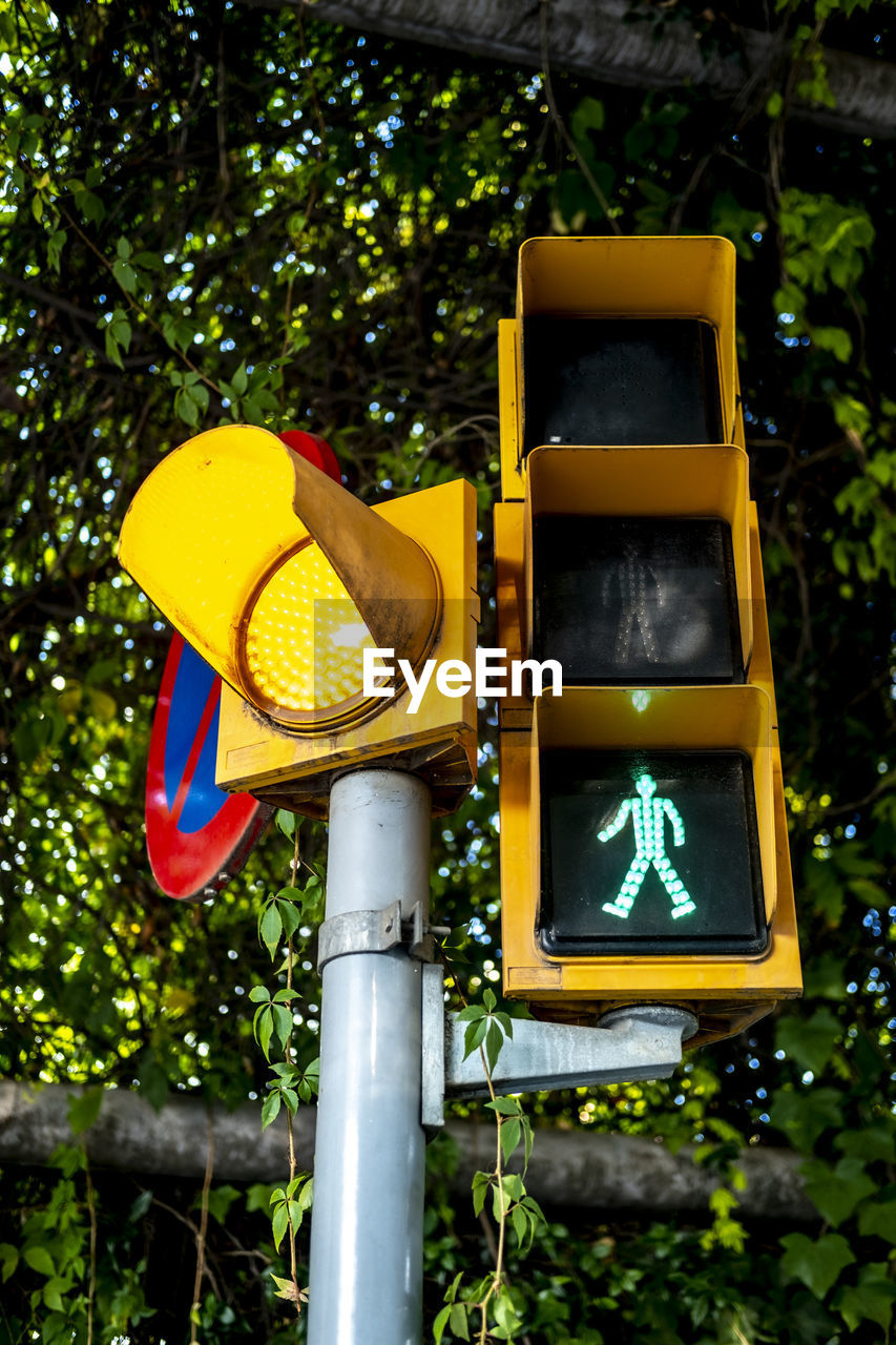 Low angle view of yellow sign against trees