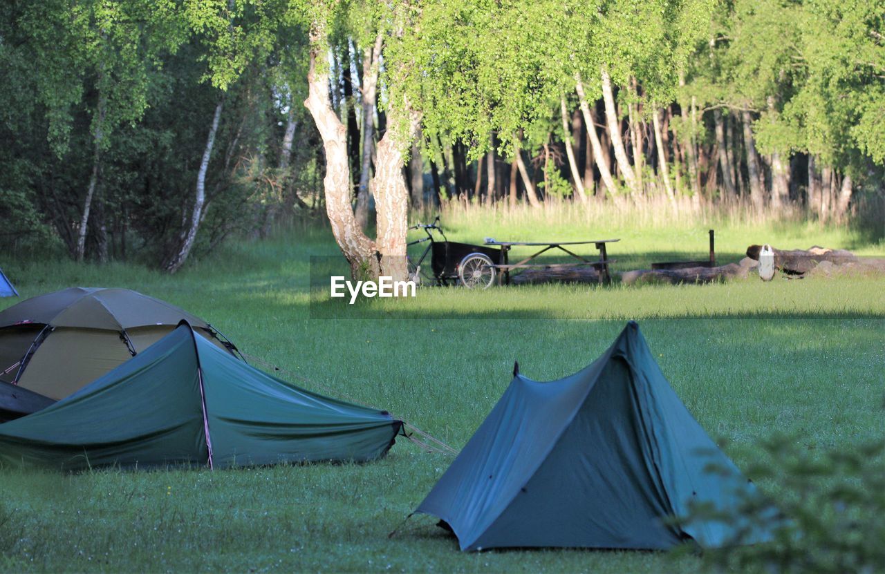 Camping in nature. youth over nigh in natureprotection area,vestamager. 