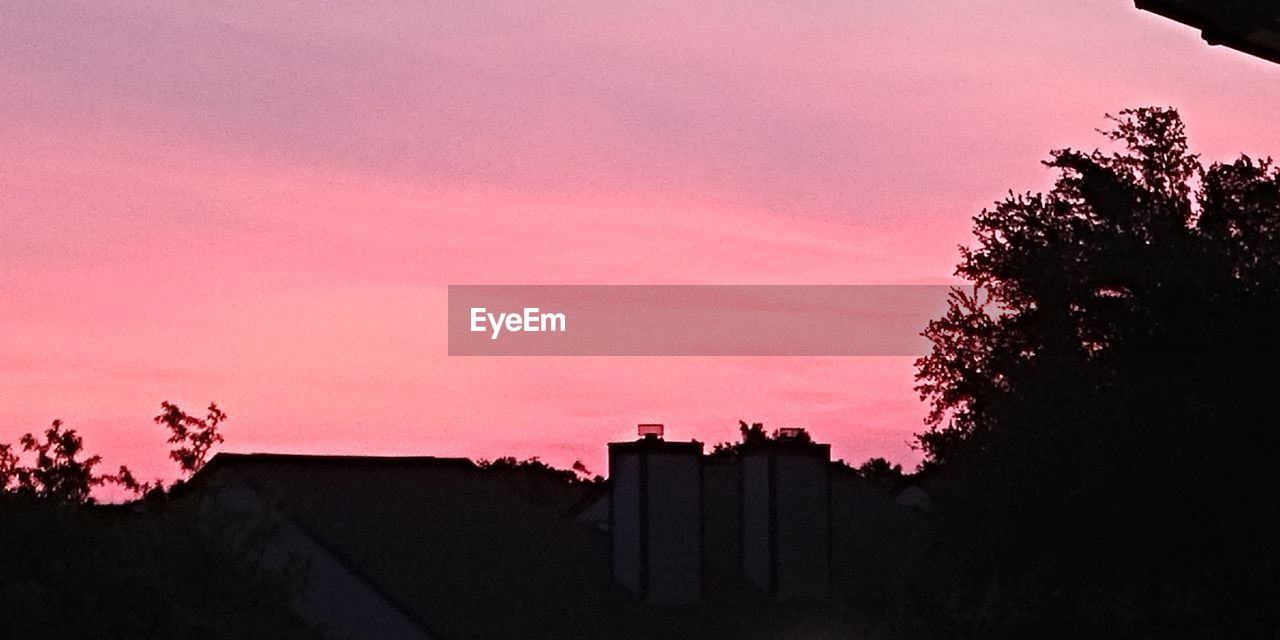 LOW ANGLE VIEW OF SILHOUETTE TREE AGAINST SKY