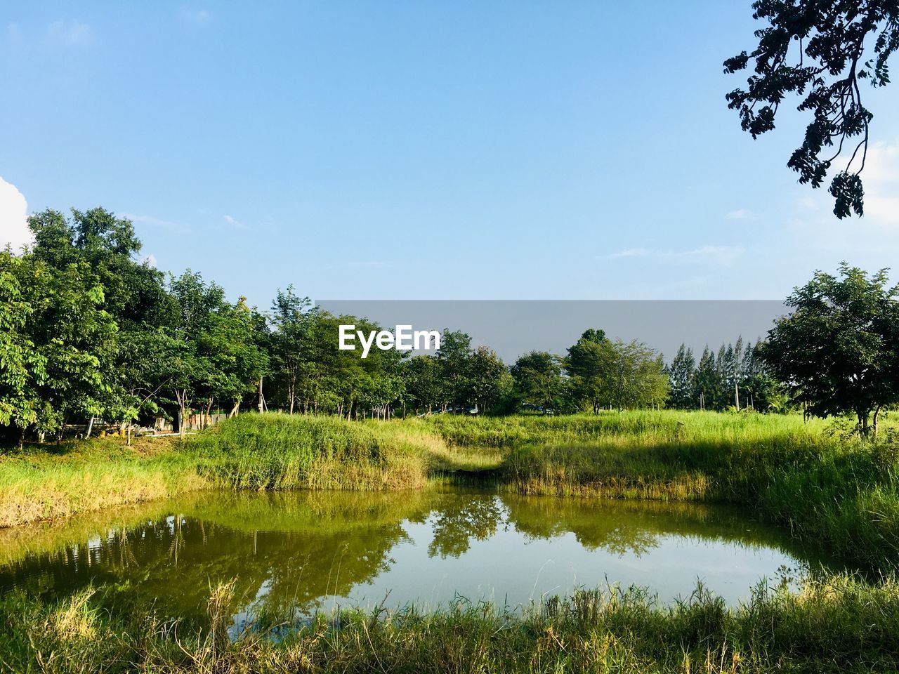 SCENIC VIEW OF LAKE AGAINST TREES