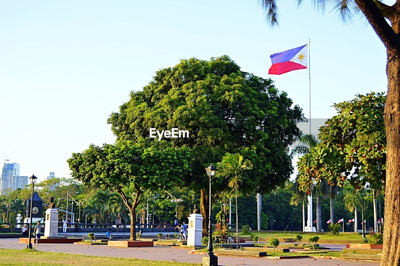 TREES IN PARK AGAINST CLEAR SKY IN CITY