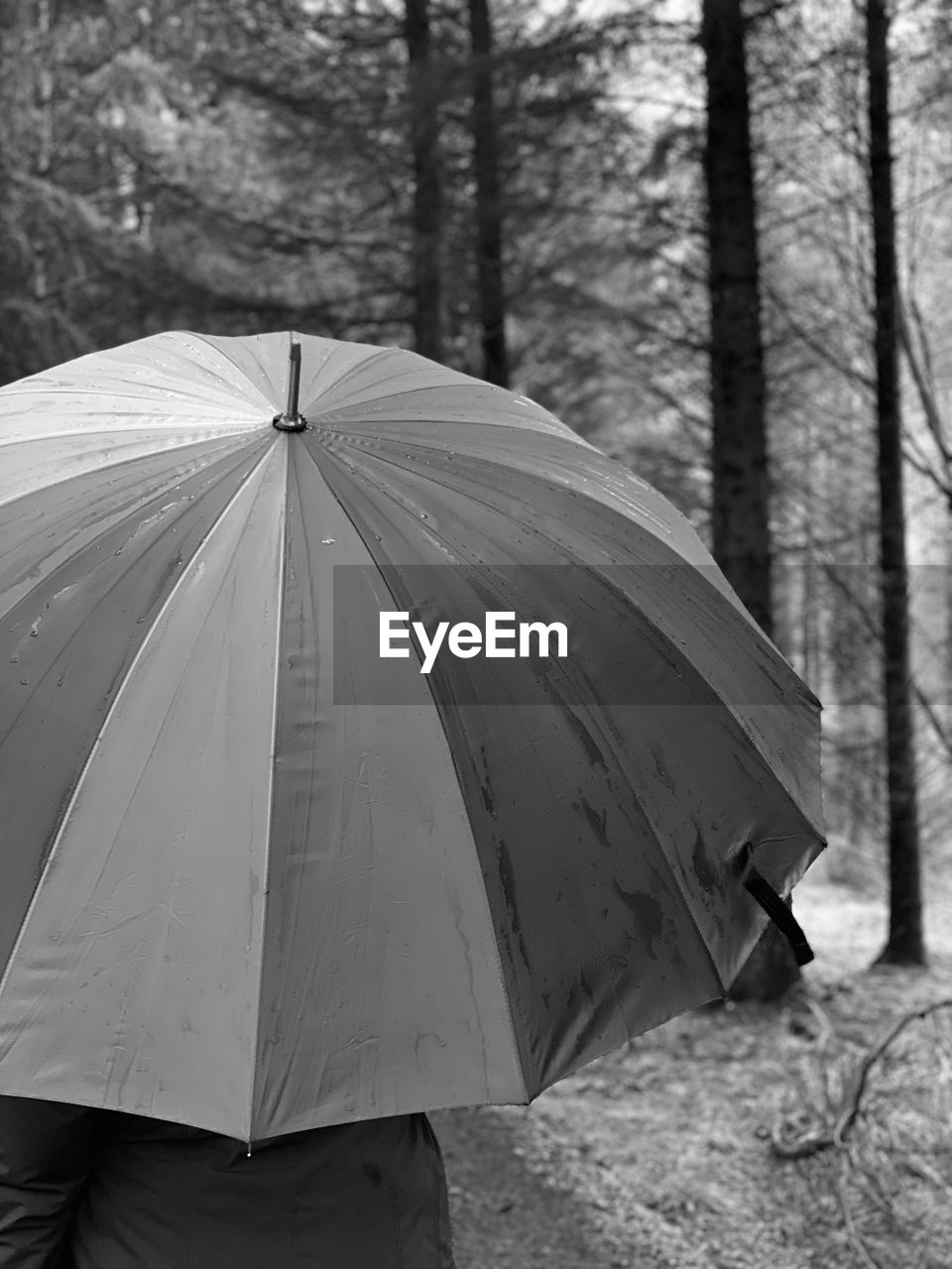 Close-up of wet umbrella on rainy day