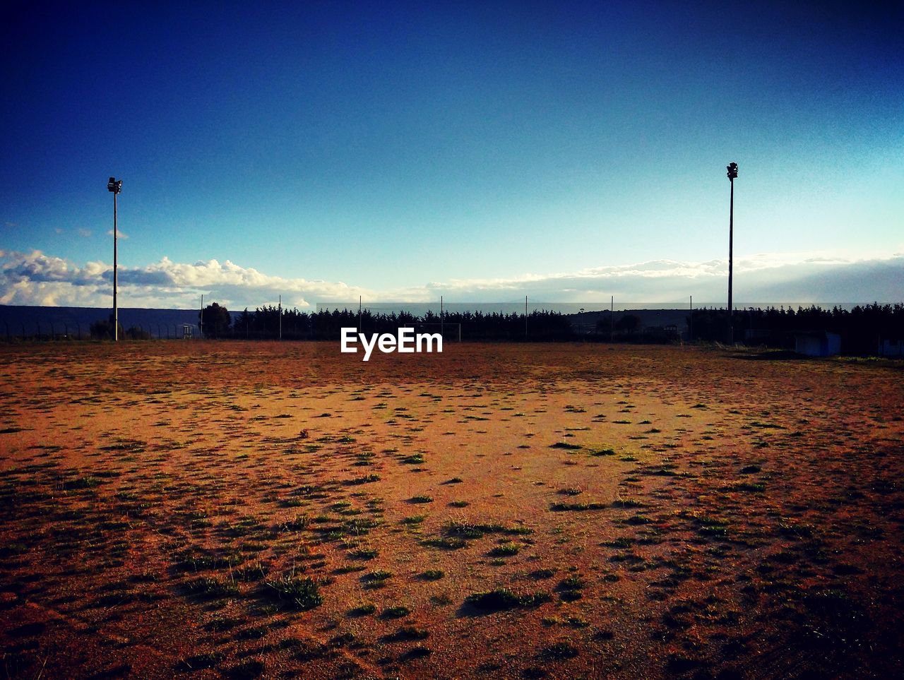 SCENIC VIEW OF SNOW FIELD AGAINST CLEAR SKY