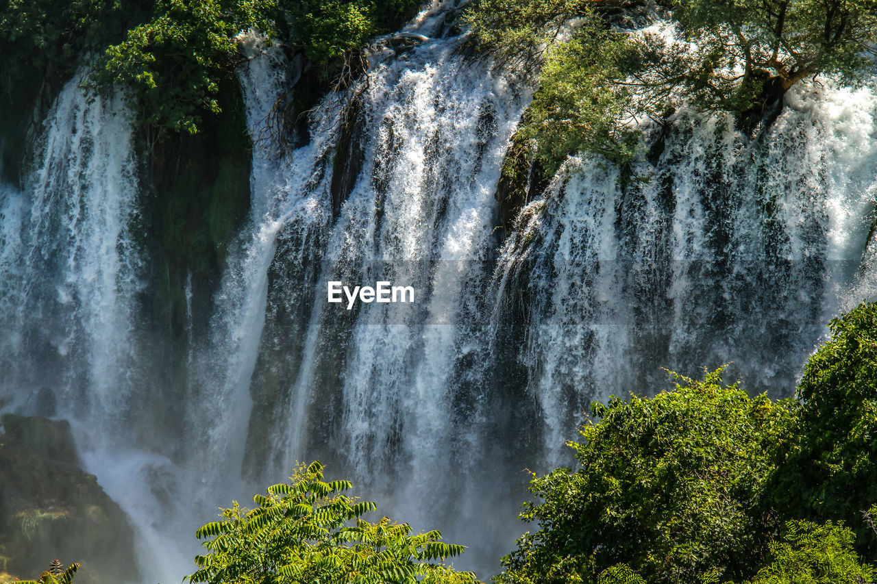 WATERFALL IN FOREST