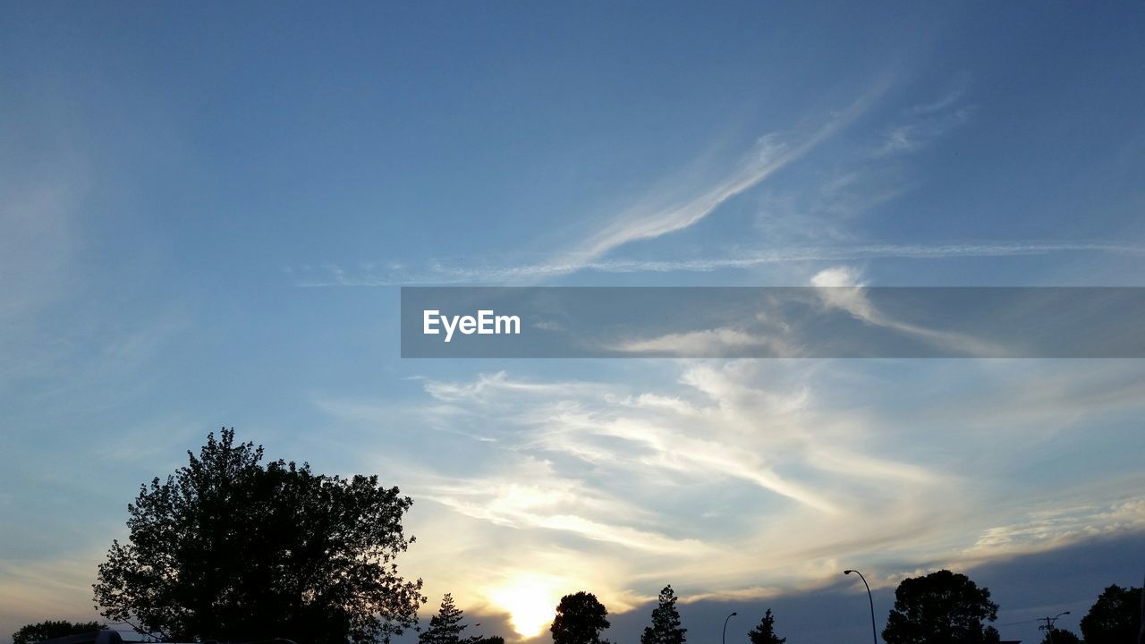 LOW ANGLE VIEW OF TREES AGAINST CLOUDY SKY