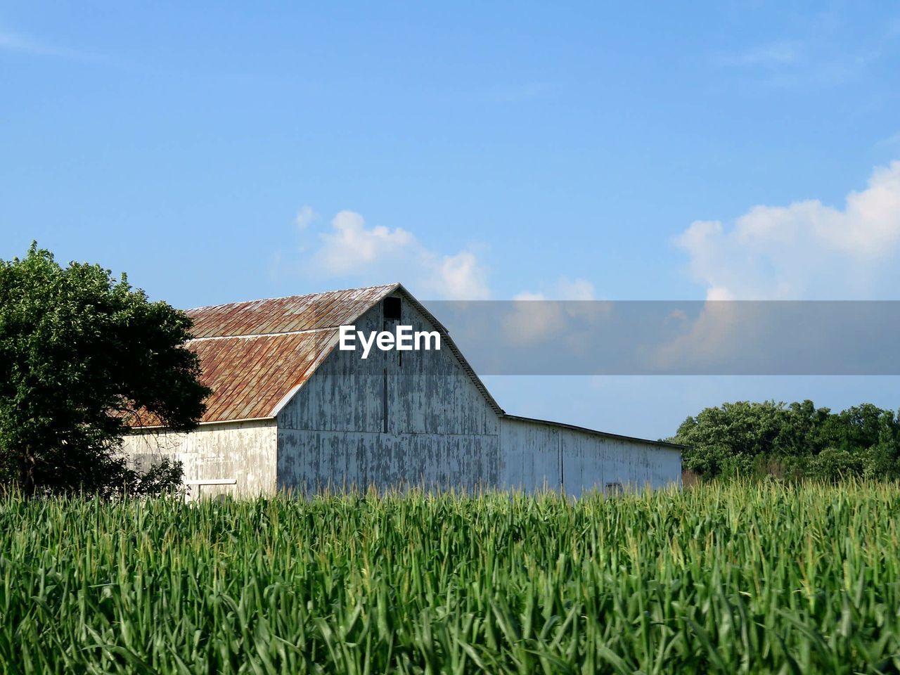 House on grassy field against sky