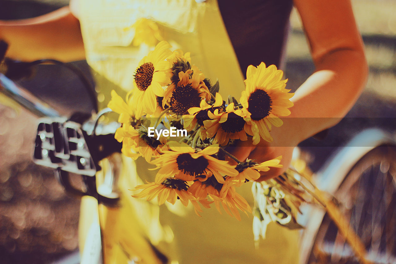 Midsection of woman holding sunflowers