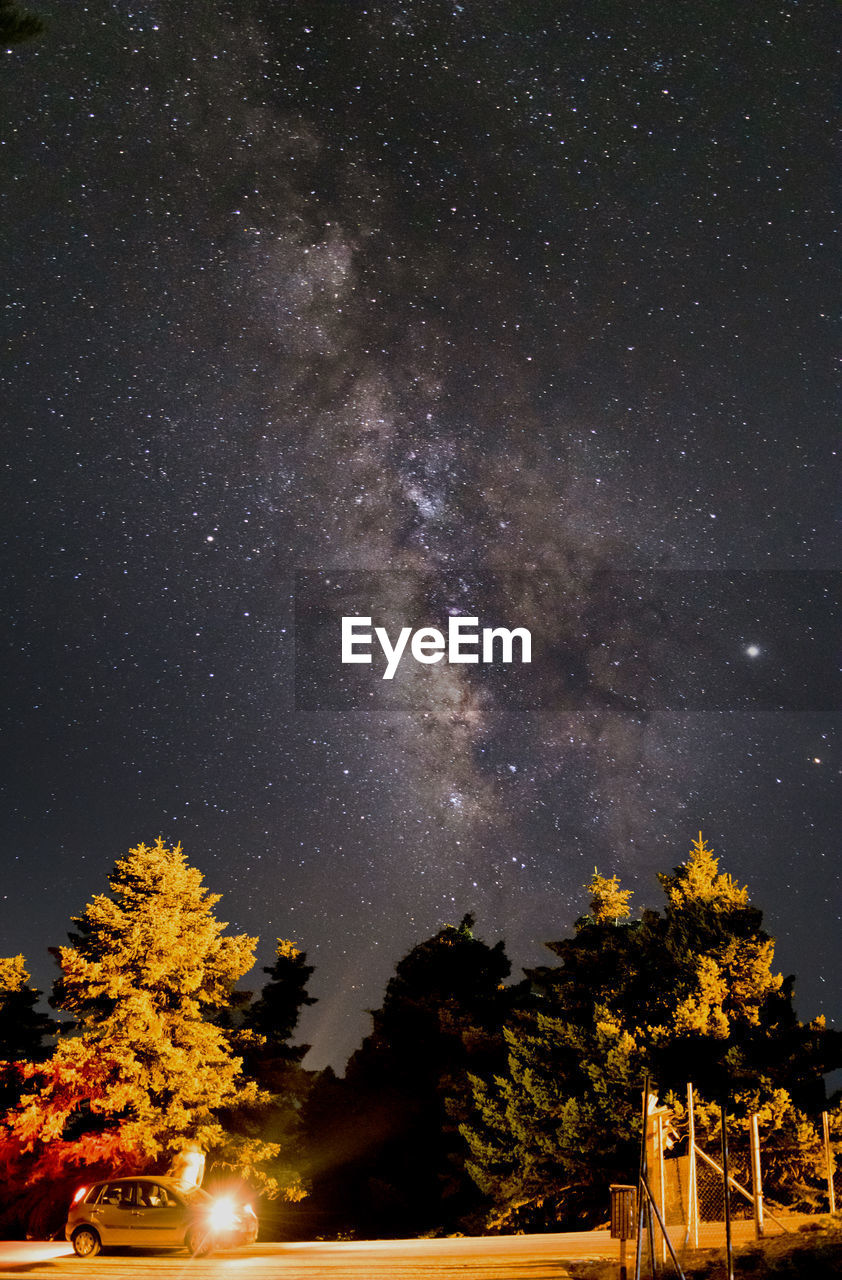 LOW ANGLE VIEW OF TREES AGAINST STAR FIELD