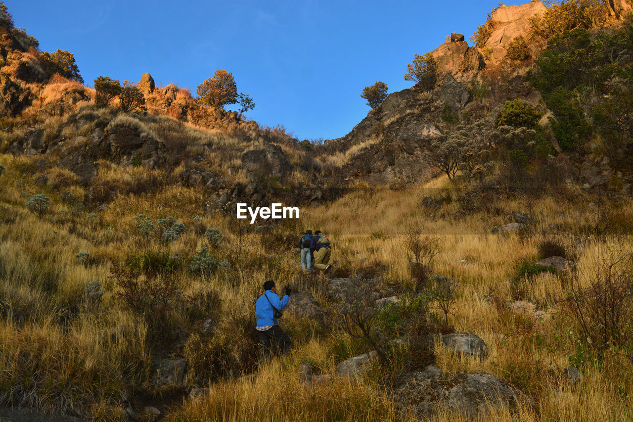 Rear view of people climbing on mountain