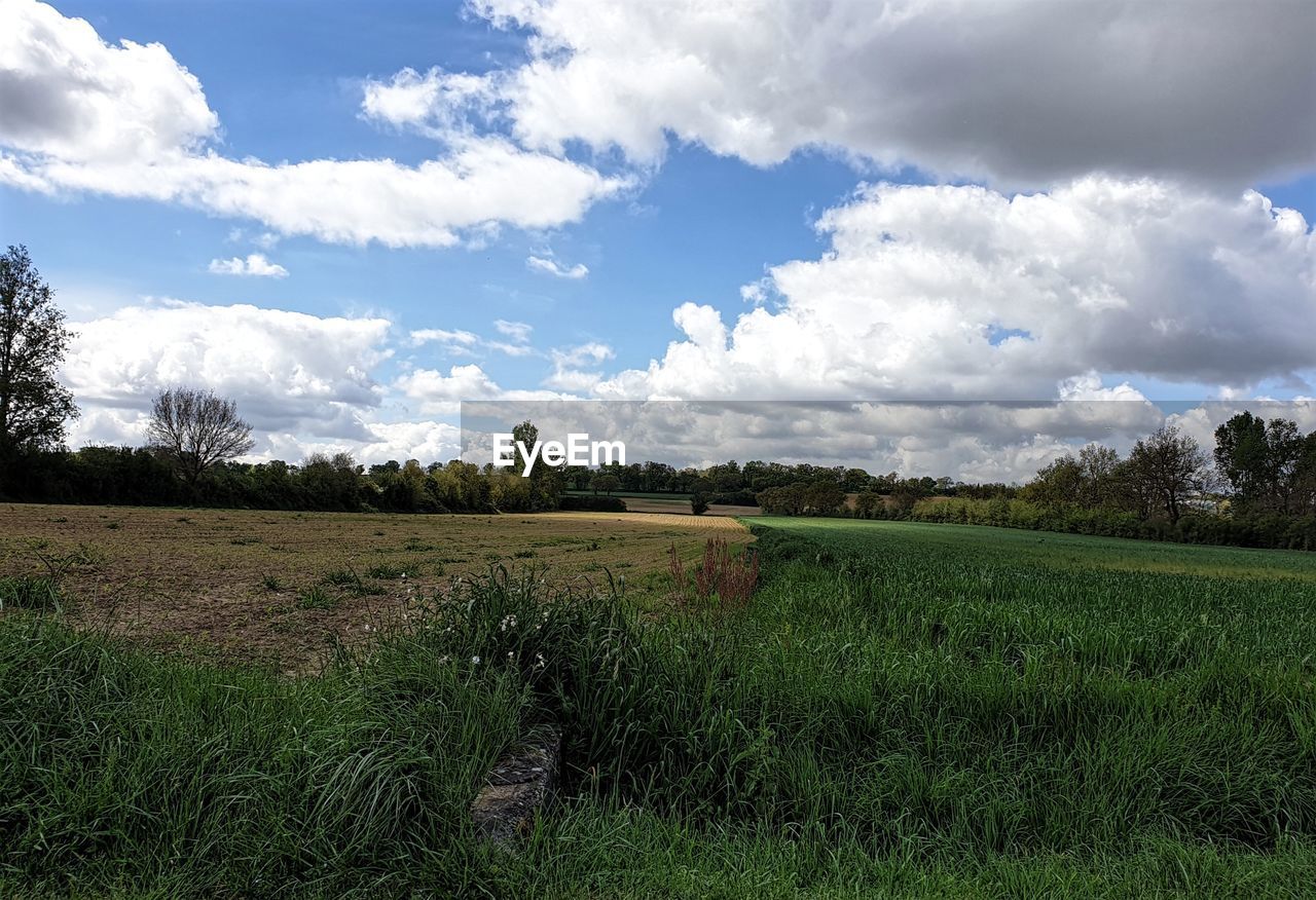 SCENIC VIEW OF LANDSCAPE