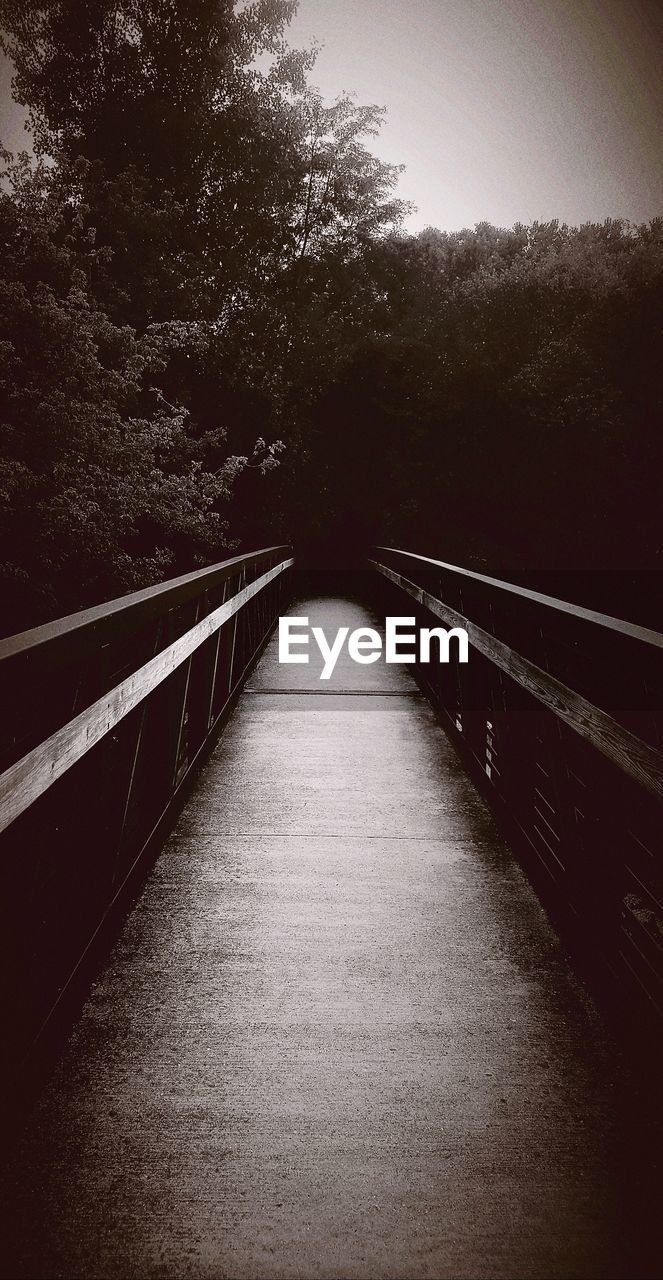 EMPTY FOOTBRIDGE AMIDST TREES