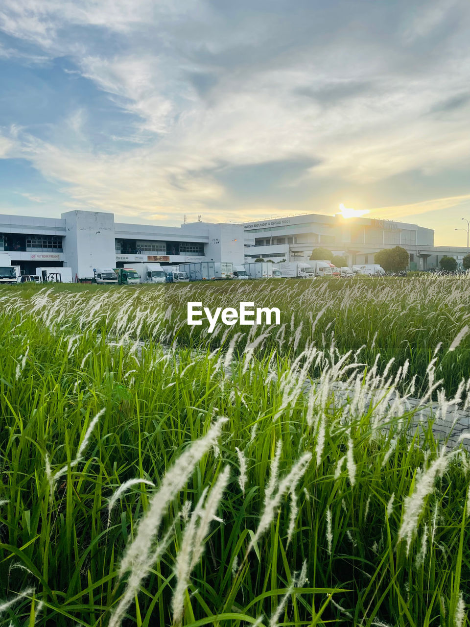 scenic view of field against cloudy sky