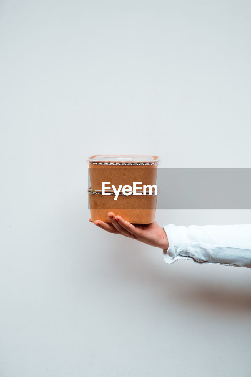 Vertical view of the unknown person holding paper lunchboxes with takeaway food.  background