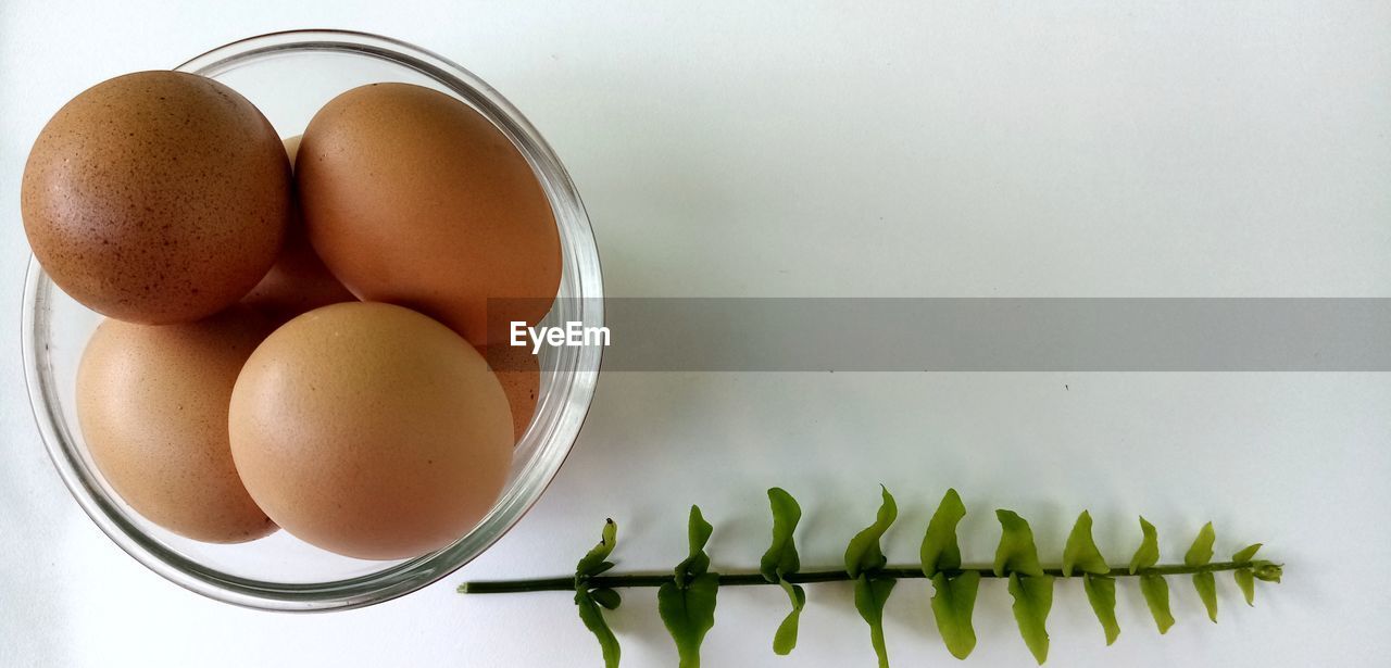 HIGH ANGLE VIEW OF EGGS IN CONTAINER