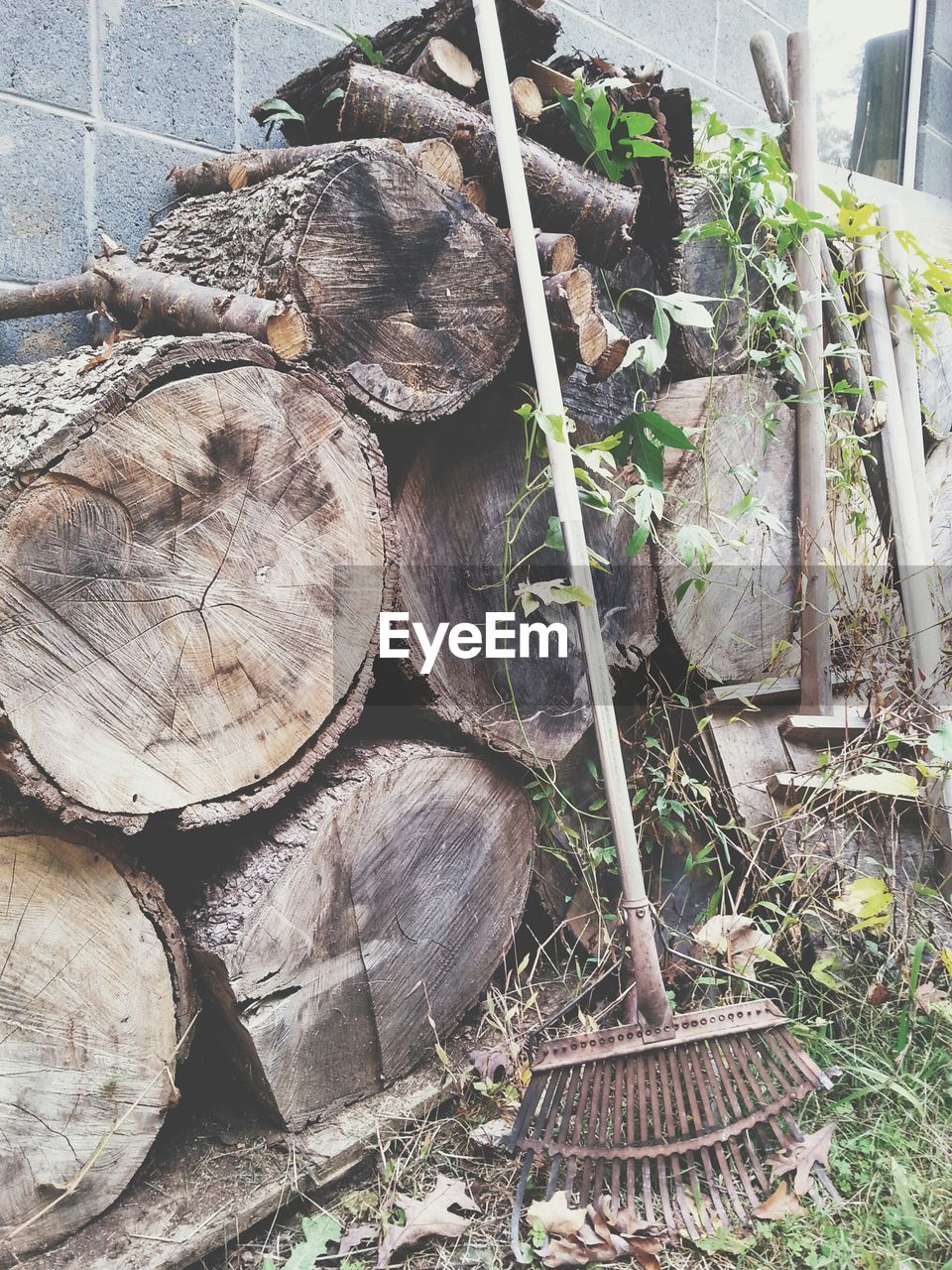 log, stack, timber, woodpile, forestry industry, deforestation, heap, no people, wood - material, day, outdoors, close-up