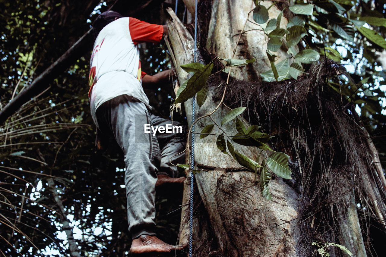 Low angle view of man on tree trunk