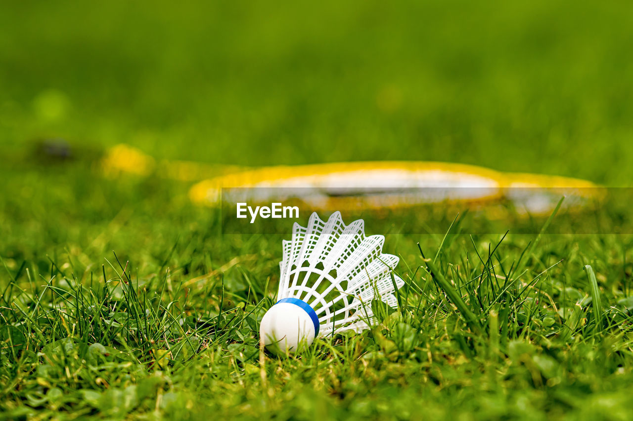 CLOSE-UP OF BALL ON GRASS