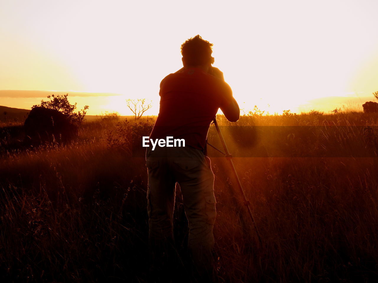 Rear view of man photographing on field against sky during sunset