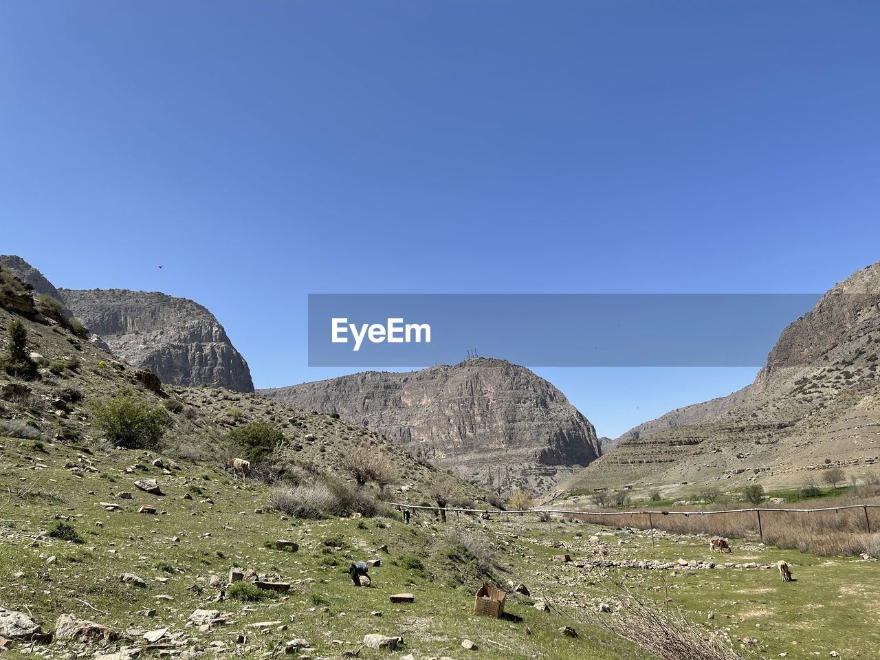 landscape, environment, scenics - nature, mountain, sky, nature, beauty in nature, land, clear sky, valley, rock, non-urban scene, plant, mountain range, blue, travel destinations, no people, travel, wilderness, tranquility, plateau, tranquil scene, sunny, geology, ridge, adventure, outdoors, tourism, semi-arid, desert, day, outdoor pursuit, tree, rock formation, wadi, grass, copy space, nature reserve, walking, remote, arid climate, idyllic, leisure activity