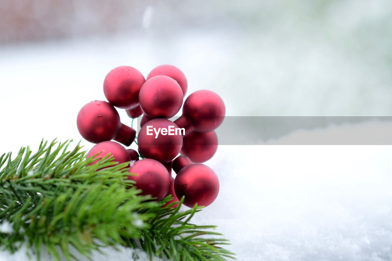 Close-up of christmas decoration on white background. 