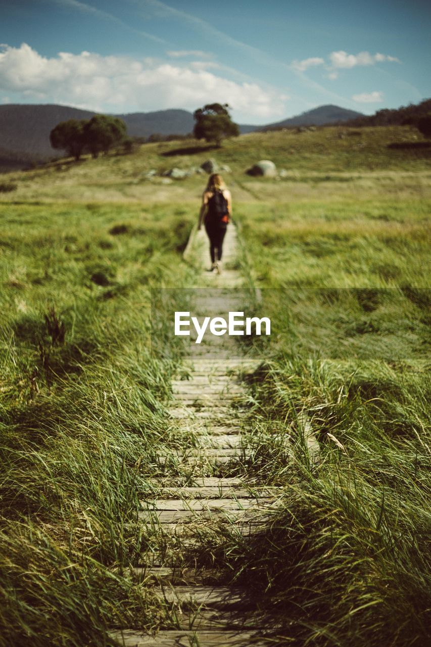 Rear view of woman walking on boardwalk amidst grassy field