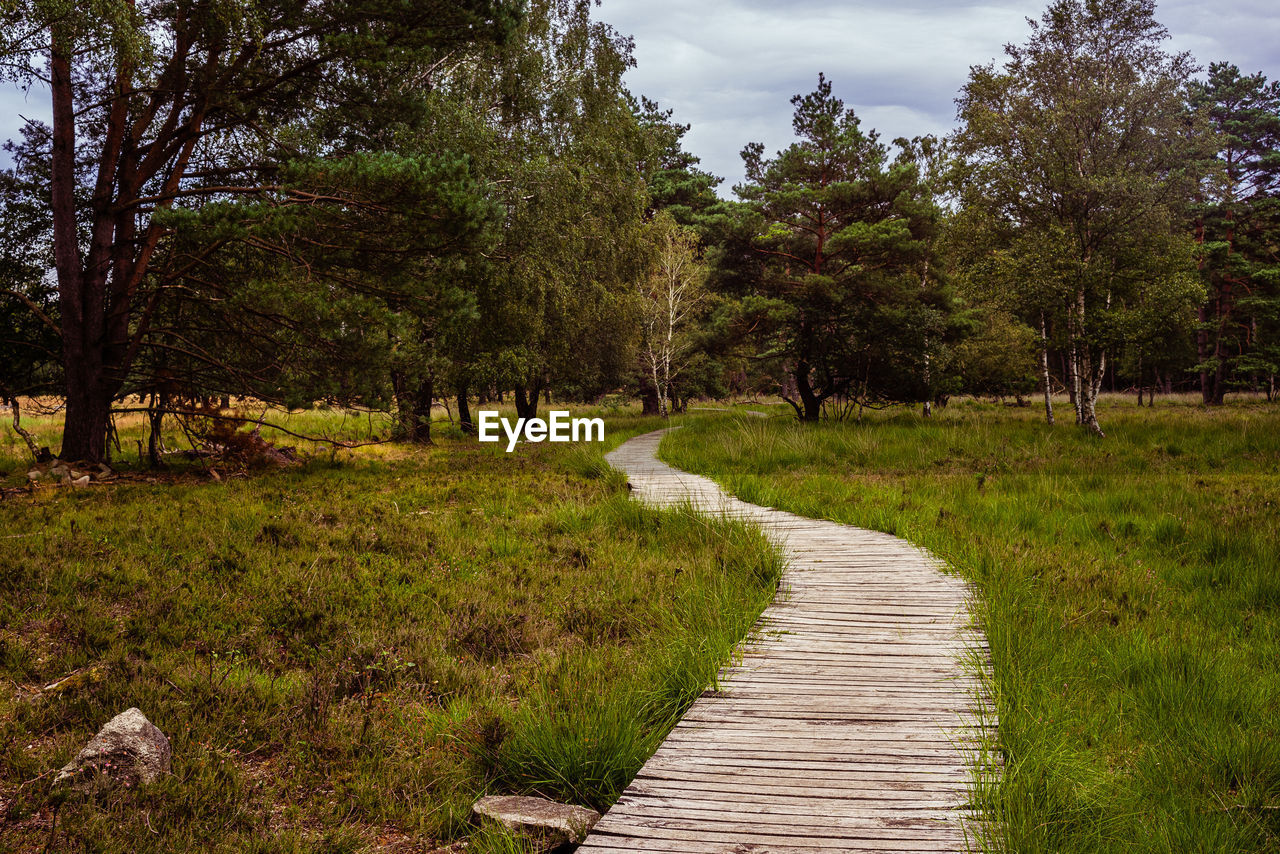 Footpath amidst trees on field against sky