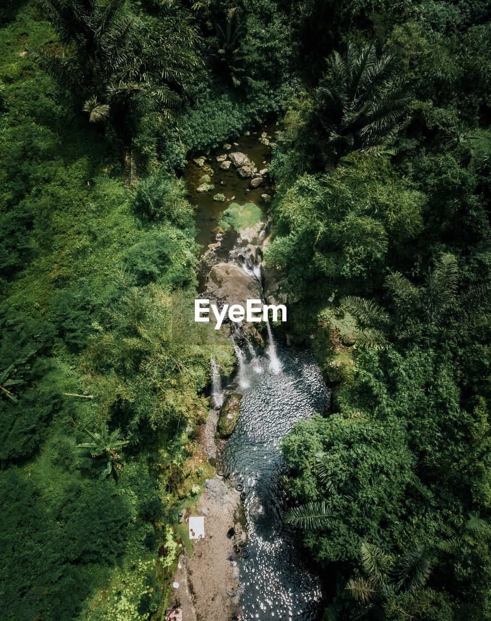 High angle view of waterfall amidst trees in forest