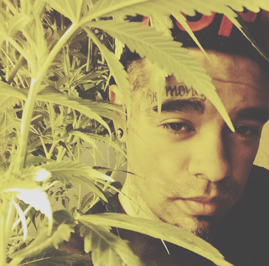 Close-up of young man with tattoo standing by plant