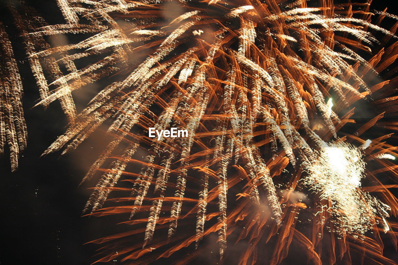 LOW ANGLE VIEW OF FIREWORK DISPLAY