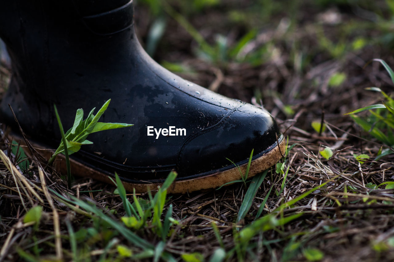 Wet boot on field