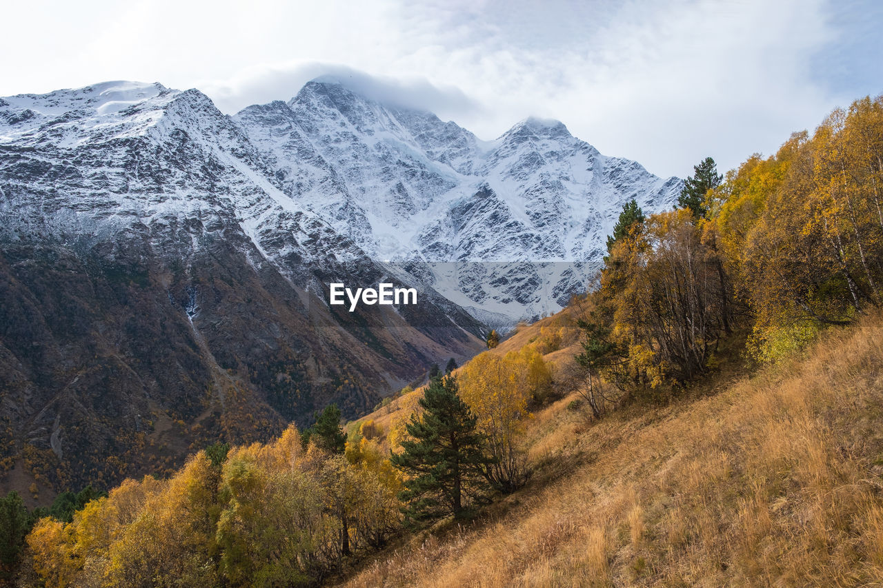 Beautiful mountain landscape with an autumn forest on slope and snow-covered rocky peaks 