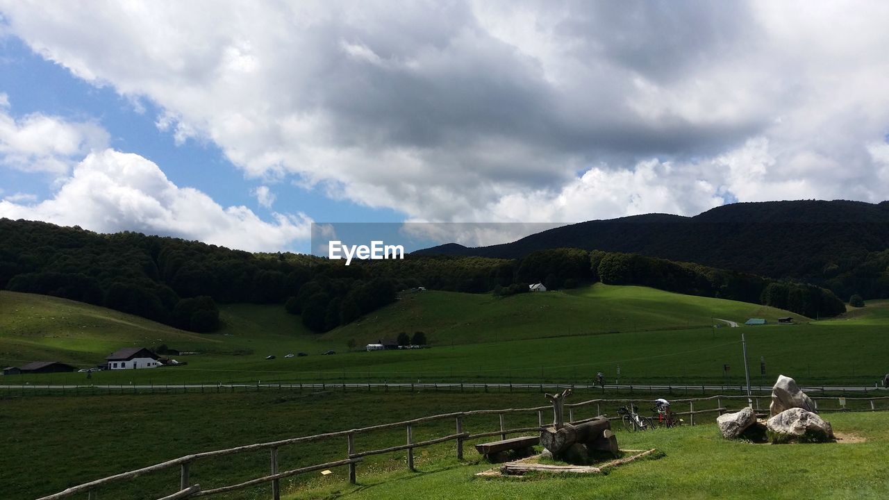 COWS GRAZING IN FIELD AGAINST SKY