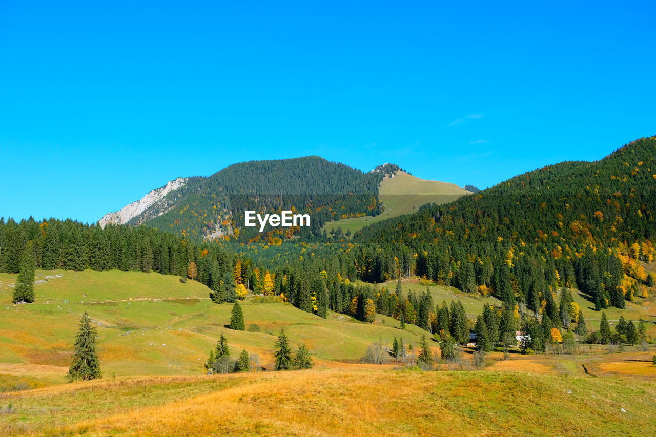 Scenic view of landscape against clear blue sky