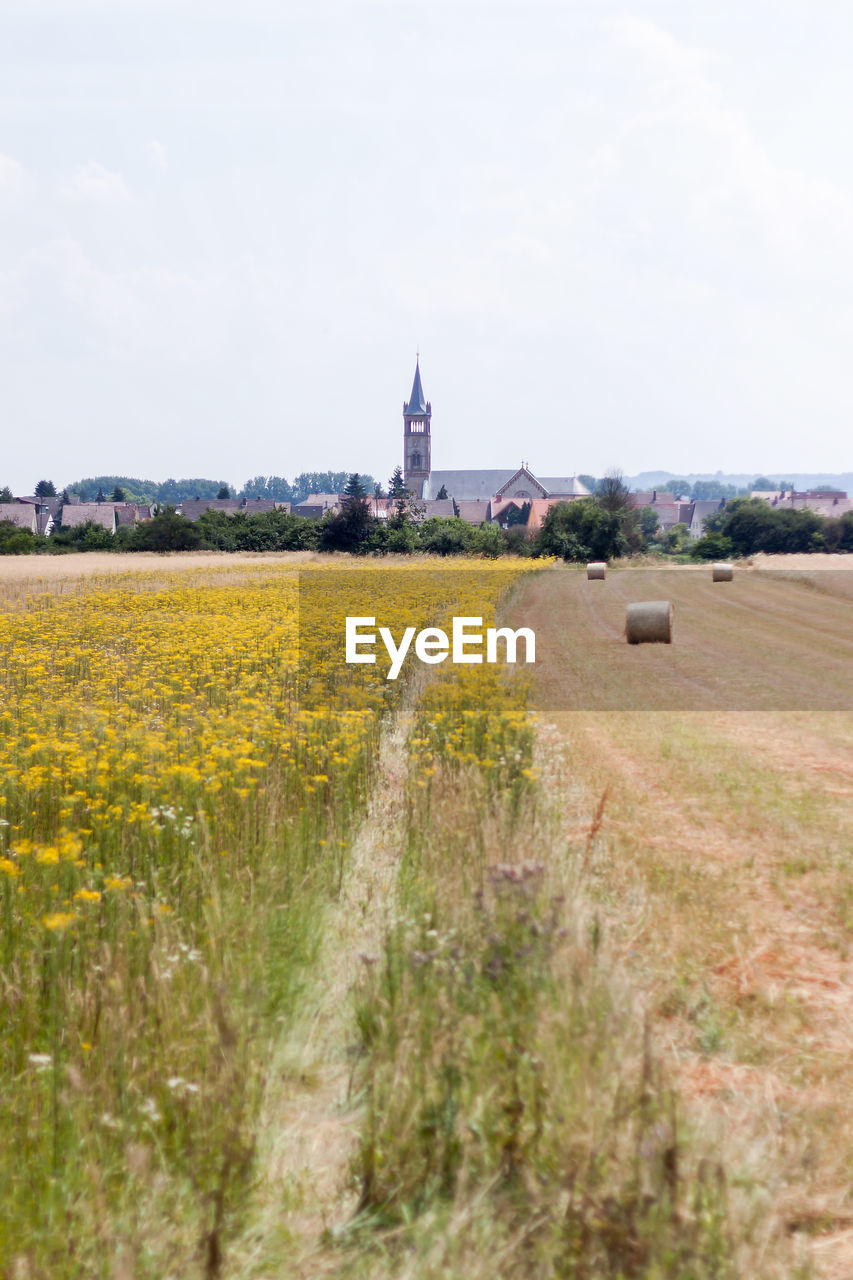 VIEW OF FIELD AGAINST SKY