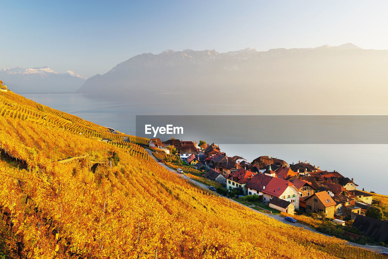 Residential buildings by vineyard against sky