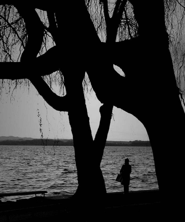 Silhouette woman standing at beach during dusk