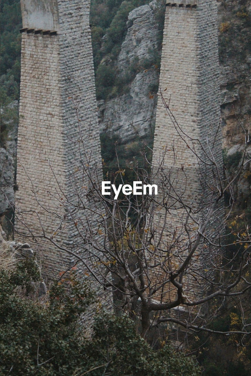 Full frame shot of bare trees in forest, columns of varda bridge, adana, turkey 