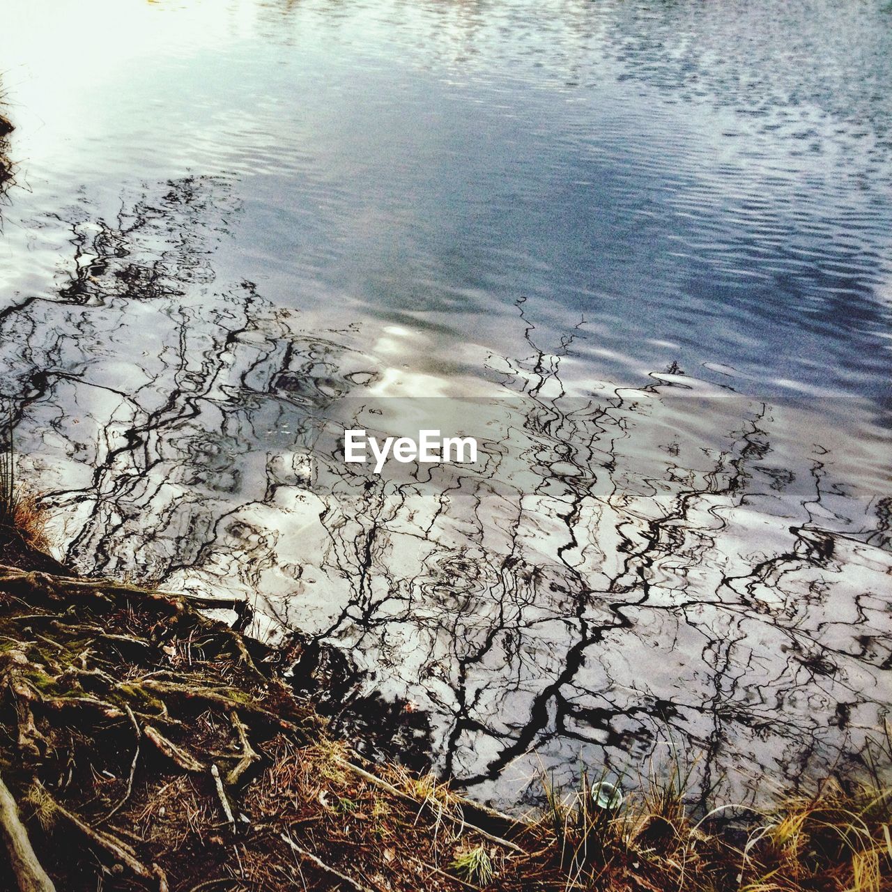 REFLECTION OF TREE IN LAKE AGAINST SKY