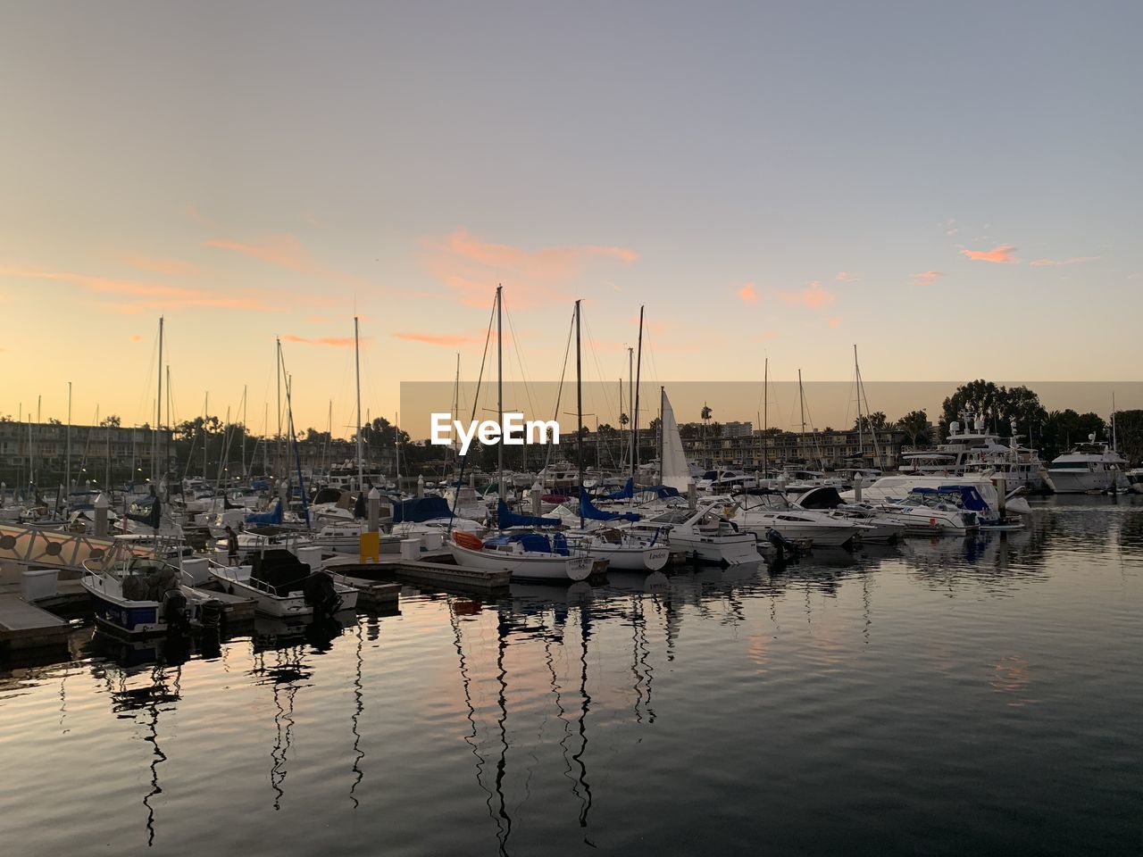 Sailboats moored at harbor during sunset