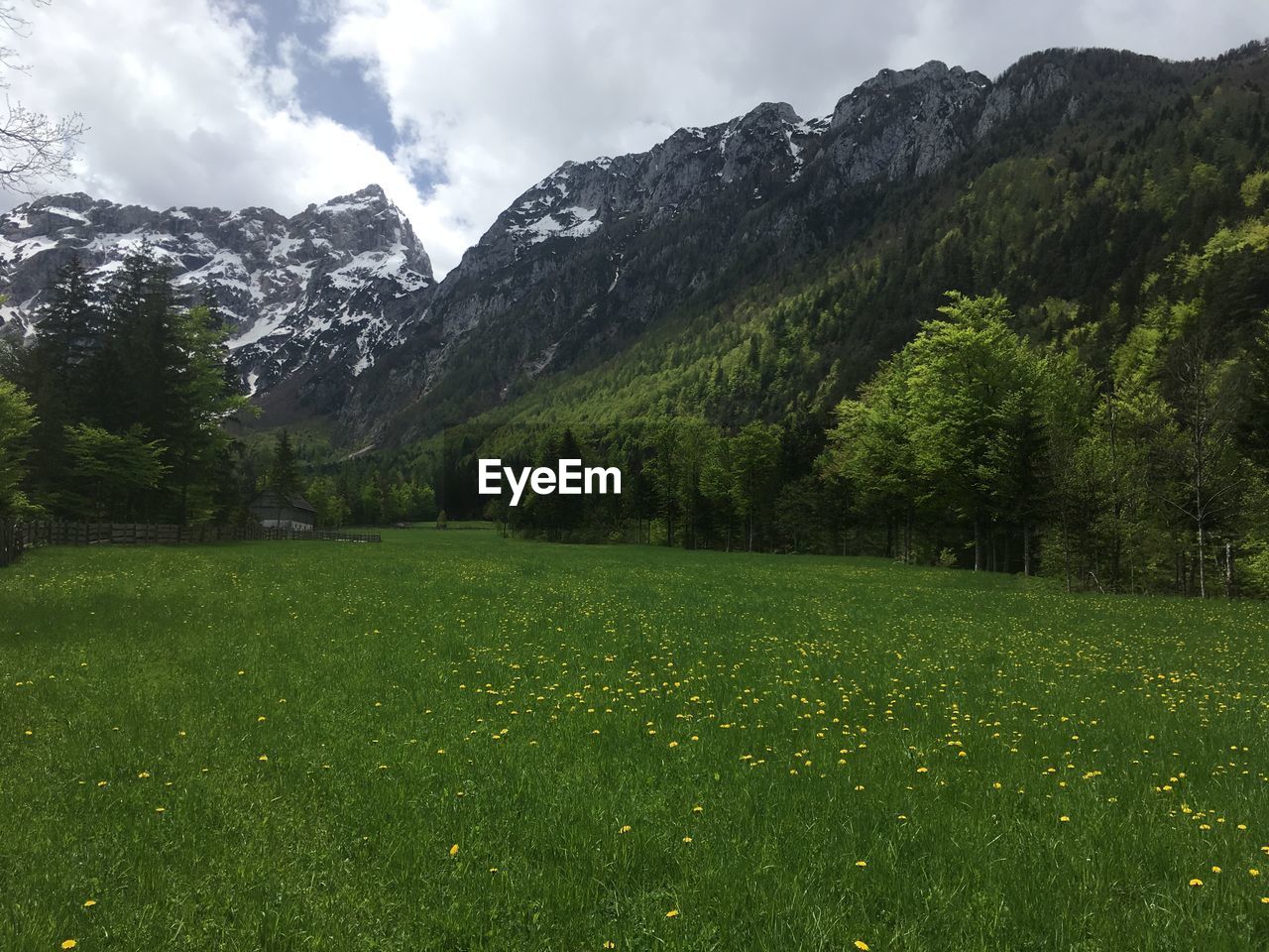 SCENIC VIEW OF GREEN LANDSCAPE AND MOUNTAIN RANGE