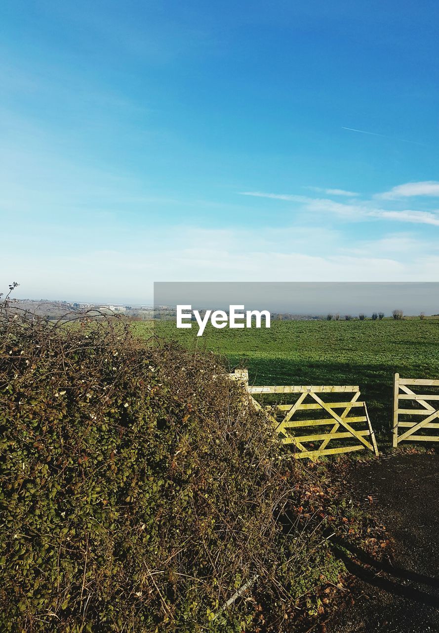 FIELD AGAINST SKY