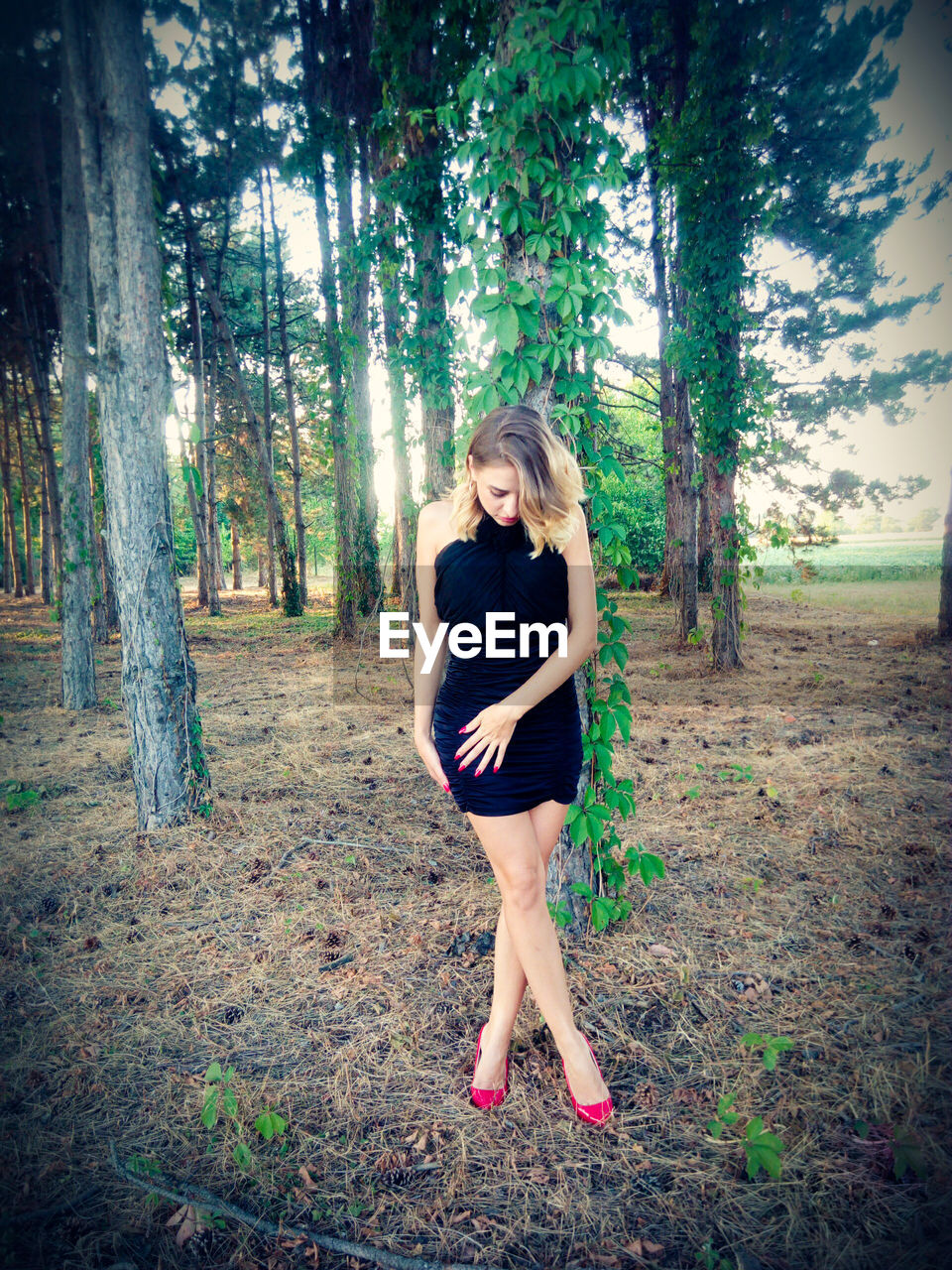 FULL LENGTH OF YOUNG WOMAN STANDING IN FOREST