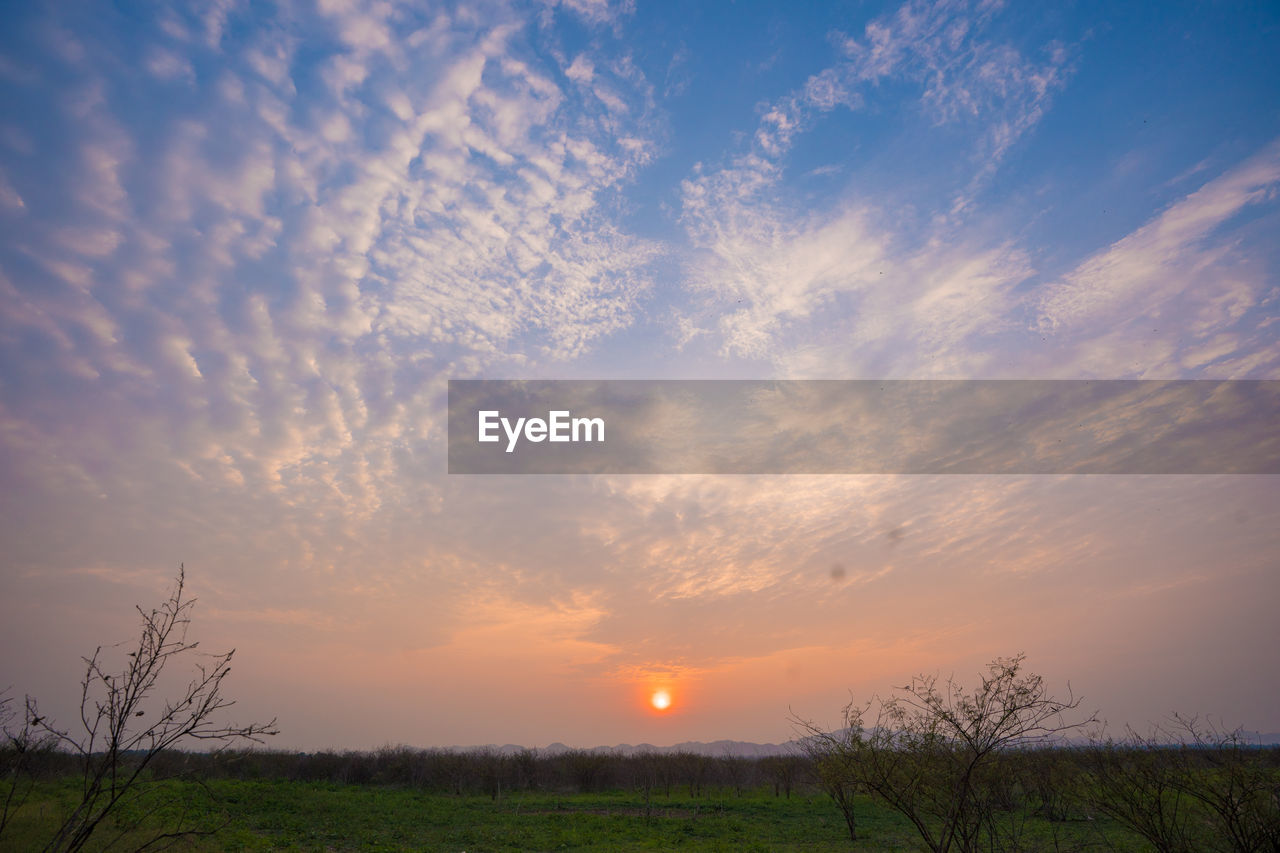 SCENIC VIEW OF SUNSET OVER FIELD