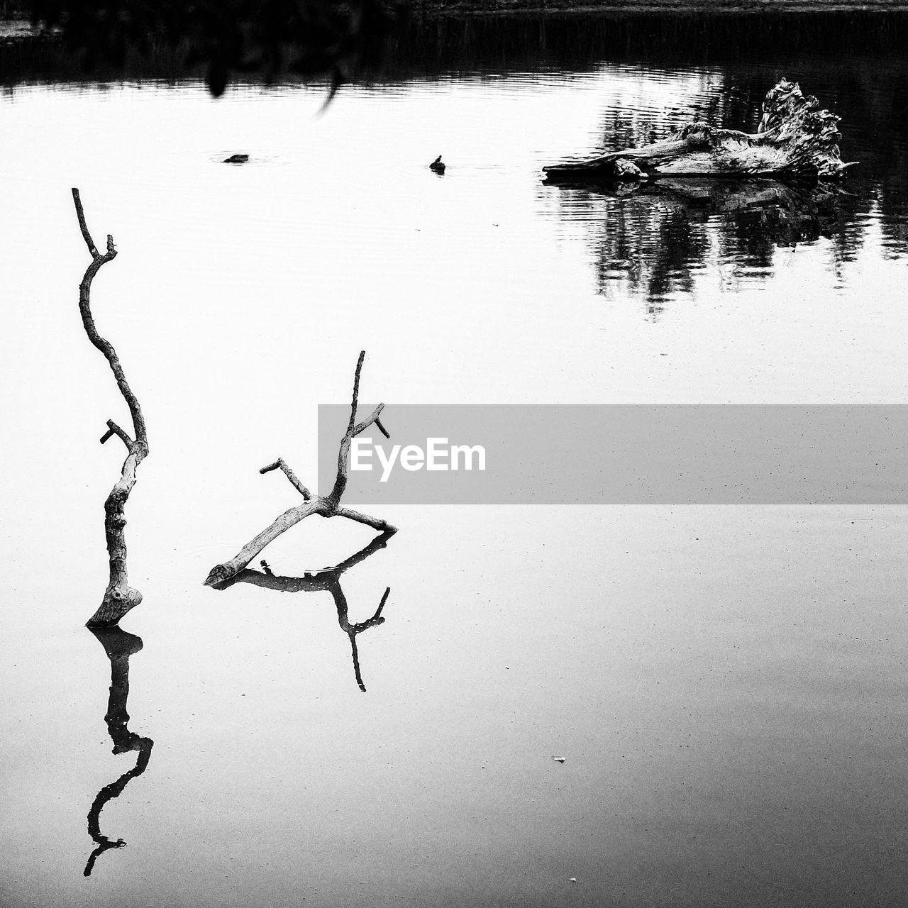 REFLECTION OF FROZEN LAKE IN WINTER