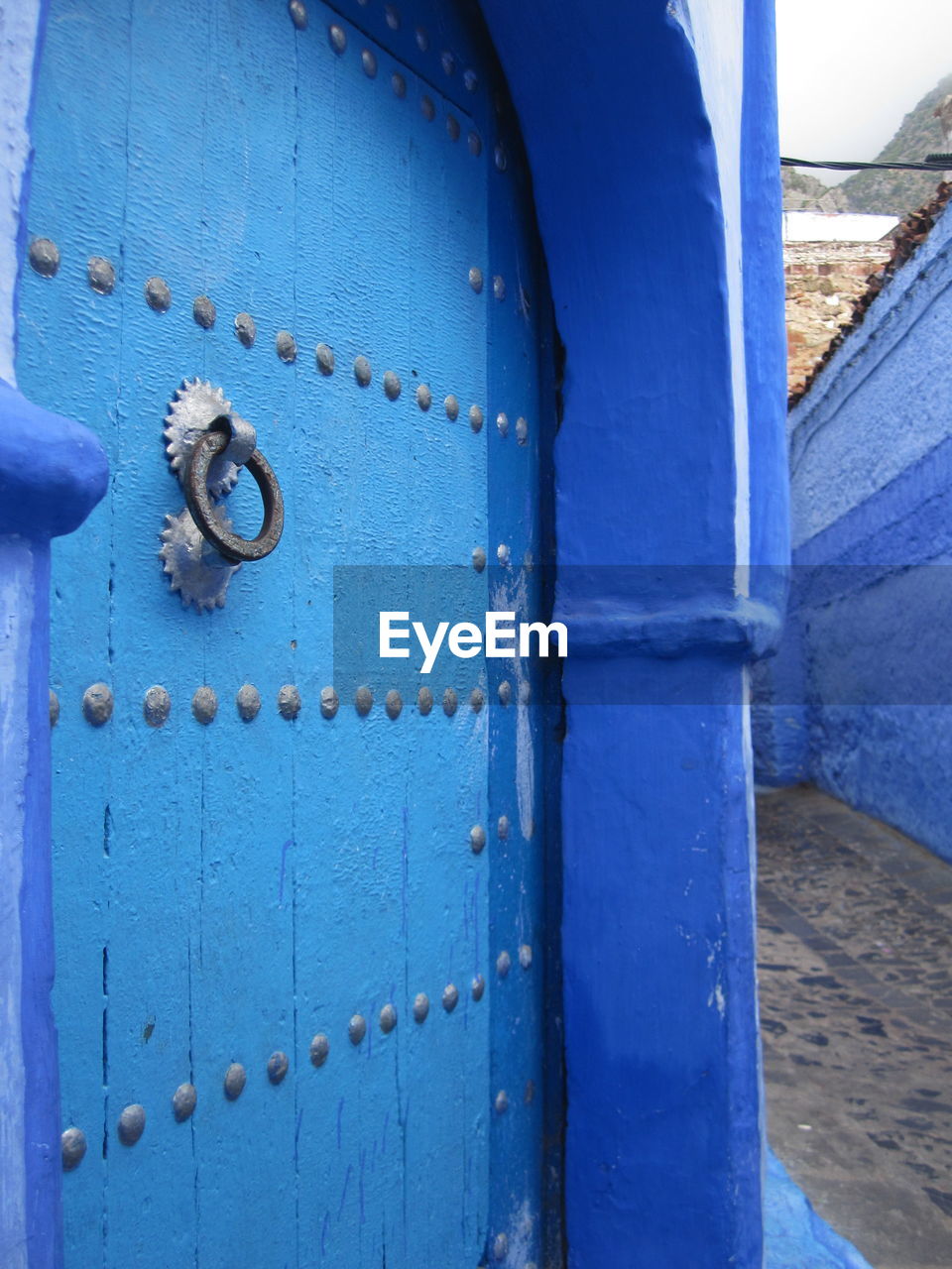Metallic knocker on blue door