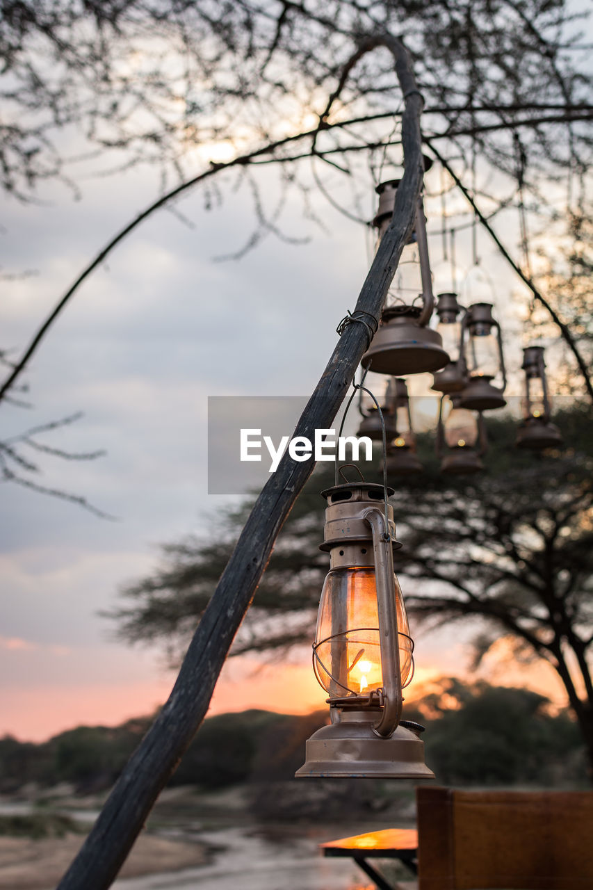Illuminated lantern hanging by tree against sky at sunset