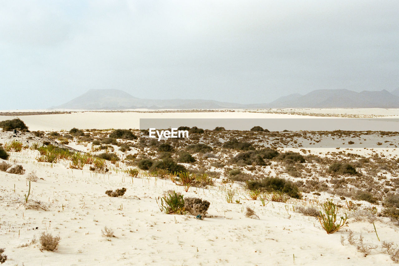 Scenic view of desert against sky