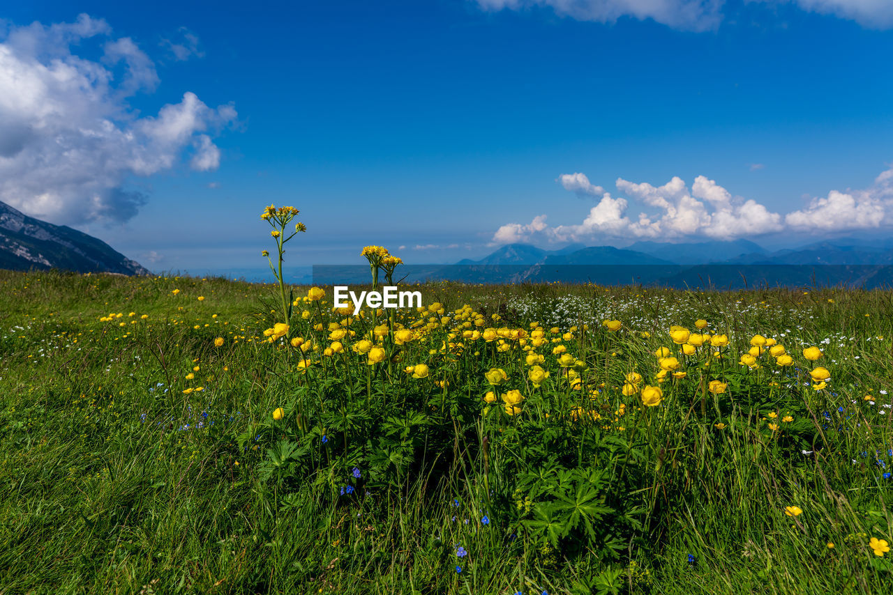 Panoramic view of the monte baldo mountains on lake garda in italy.