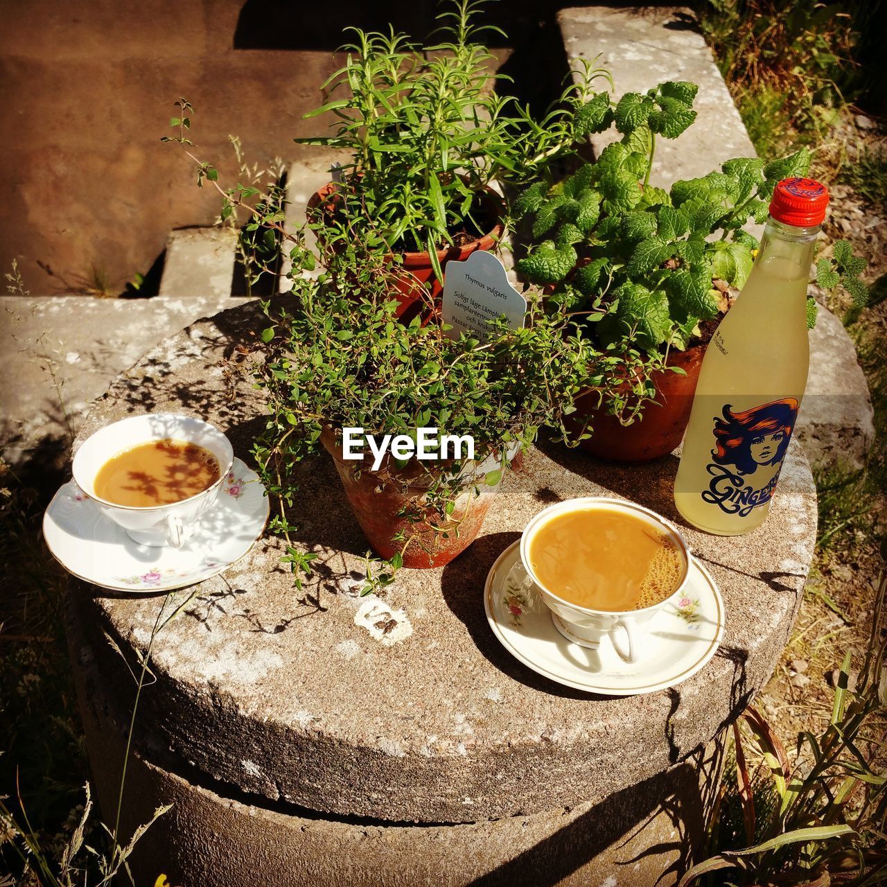 COFFEE CUP ON TABLE